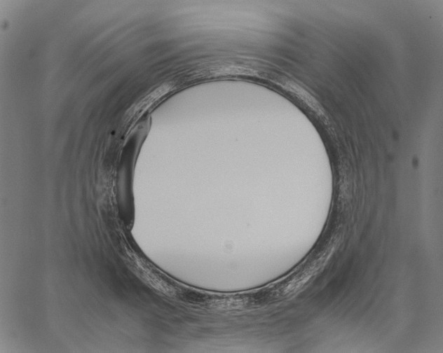 X0000062870793200602101650