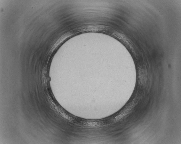 X0000062870794200602101650