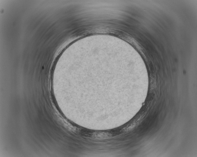 X0000062870795200602101650