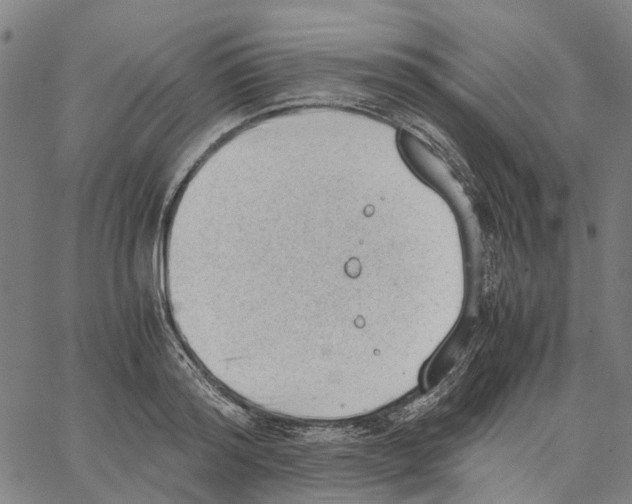 X0000062870796200602101650