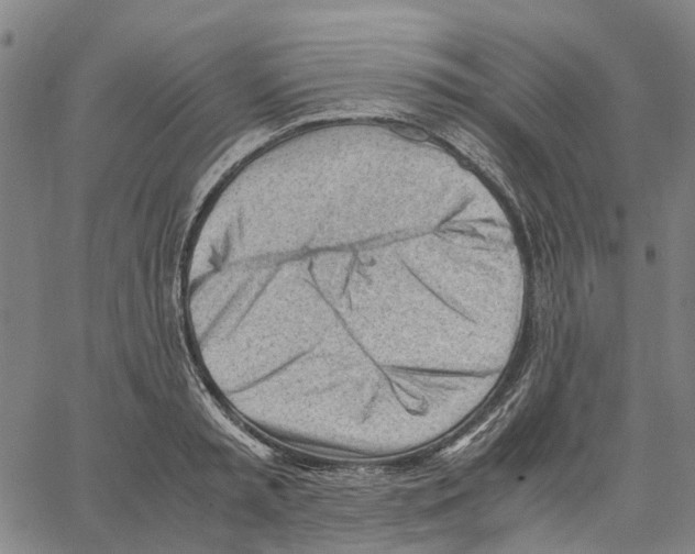 X0000062870797200602101650