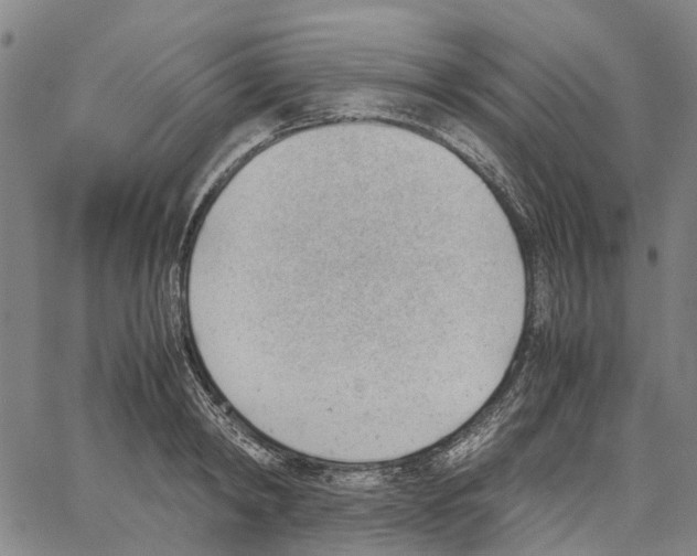 X0000062870798200602101650