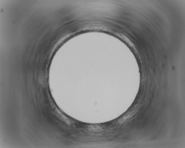 X0000062870799200602101650