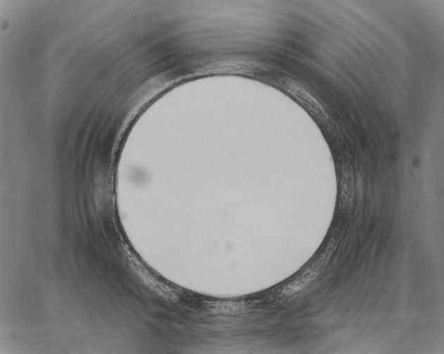 X0000062870800200602101650