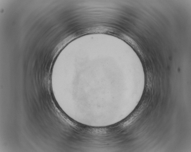 X0000062870802200602101650