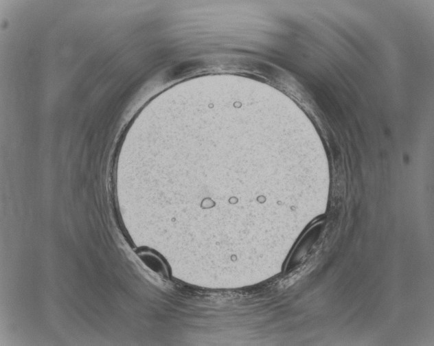 X0000062870803200602101650