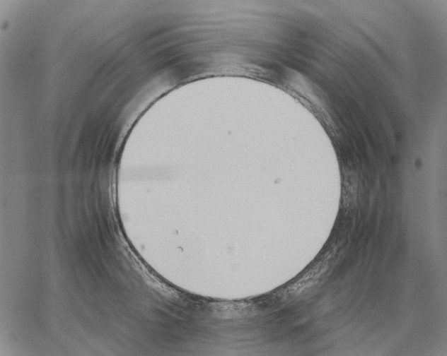 X0000062870804200602101650