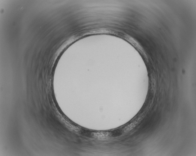 X0000062870805200602101650