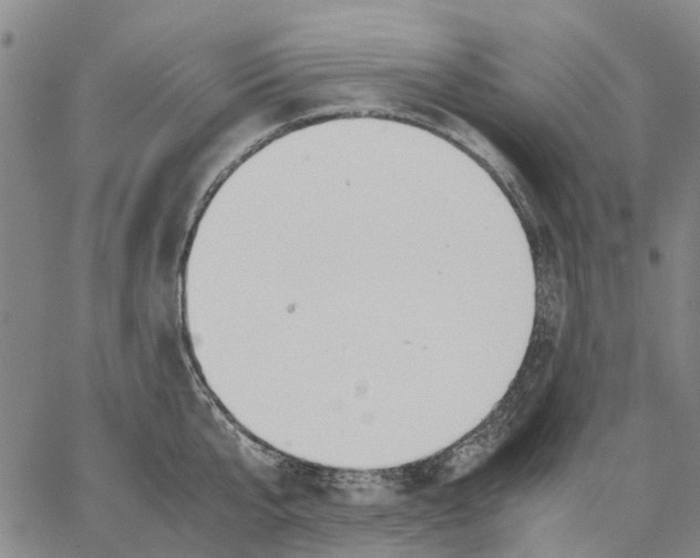 X0000062870807200602101650