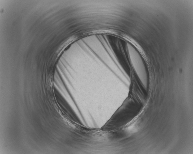 X0000062870809200602101650