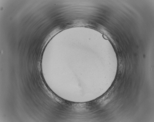 X0000062870810200602101650