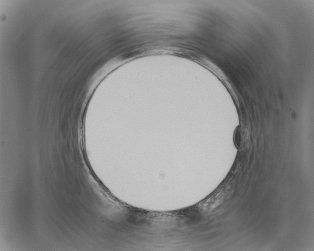 X0000062870811200602101650