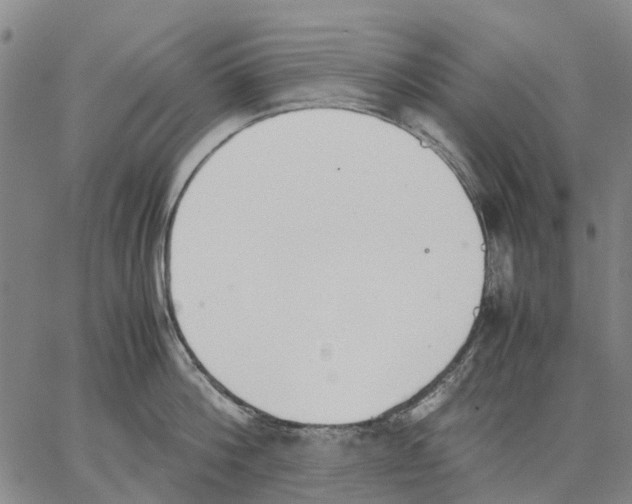 X0000062870812200602101650