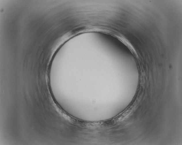 X0000062870813200602101650