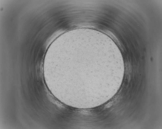 X0000062870814200602101650