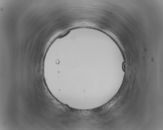 X0000062870815200602101650