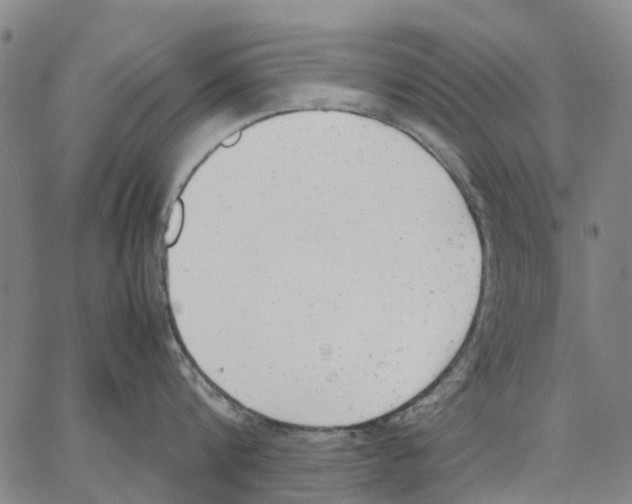 X0000062870816200602101650