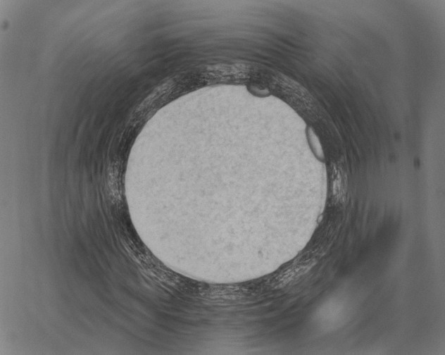 X0000062870819200602101649