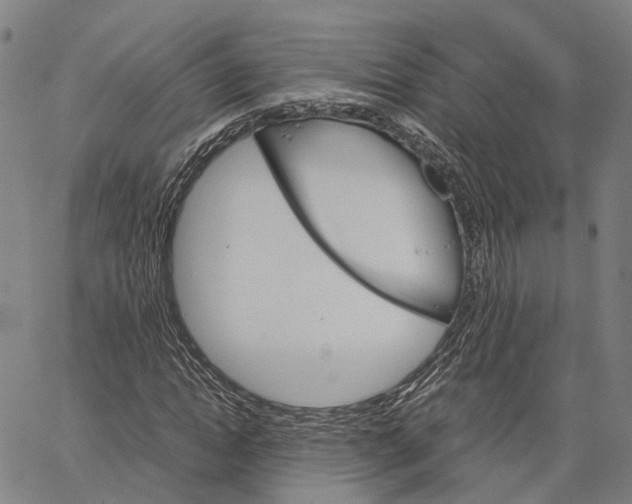 X0000062870822200602101649