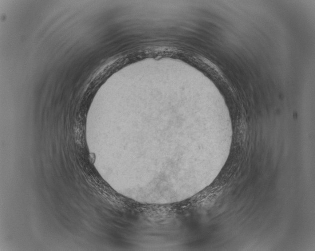 X0000062870823200602101649