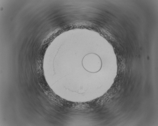 X0000062870824200602101649