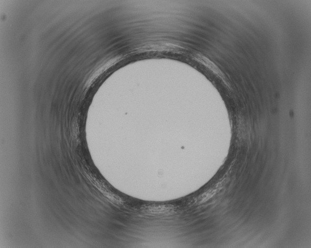 X0000062870826200602101649