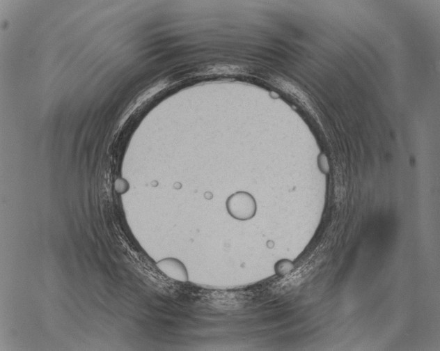 X0000062870827200602101649