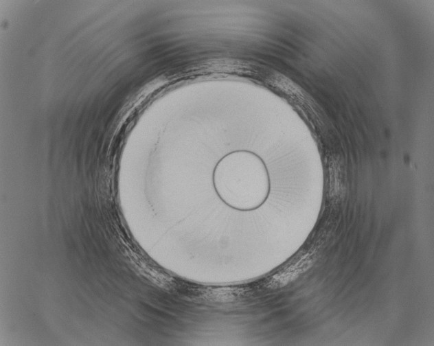 X0000062870828200602101649