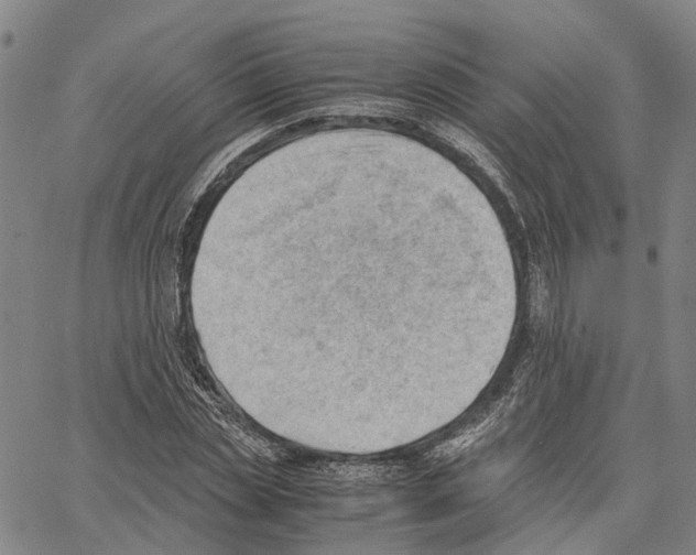 X0000062870829200602101649