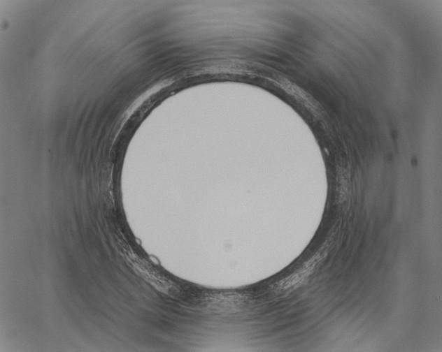 X0000062870830200602101649