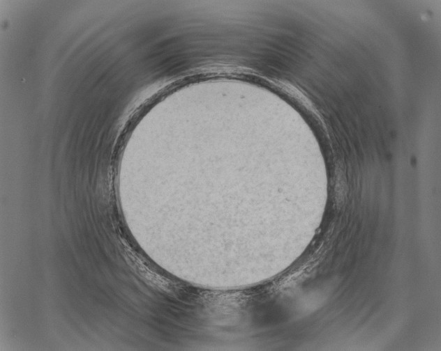 X0000062870831200602101649