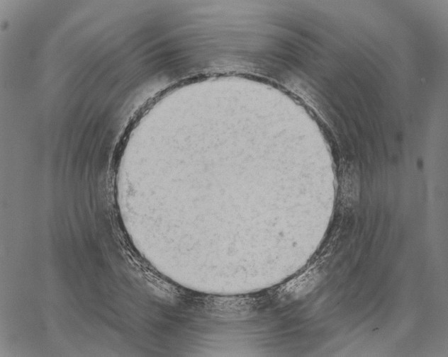 X0000062870832200602101649