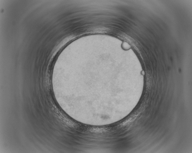 X0000062870835200602101649