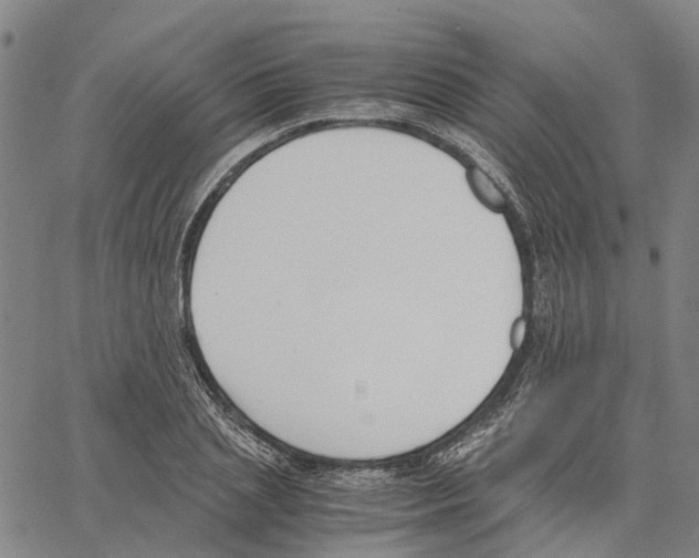 X0000062870837200602101649