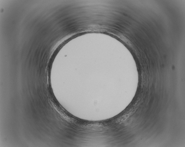 X0000062870838200602101649