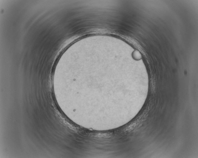 X0000062870839200602101649