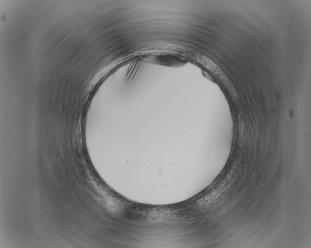 X0000062870842200602101649