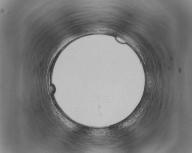 X0000062870843200602101649