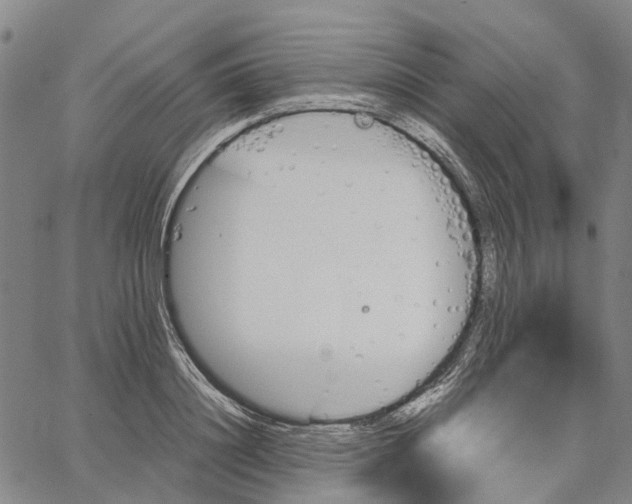 X0000062870844200602101649