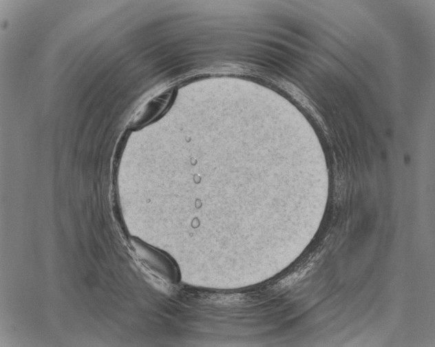 X0000062870845200602101649