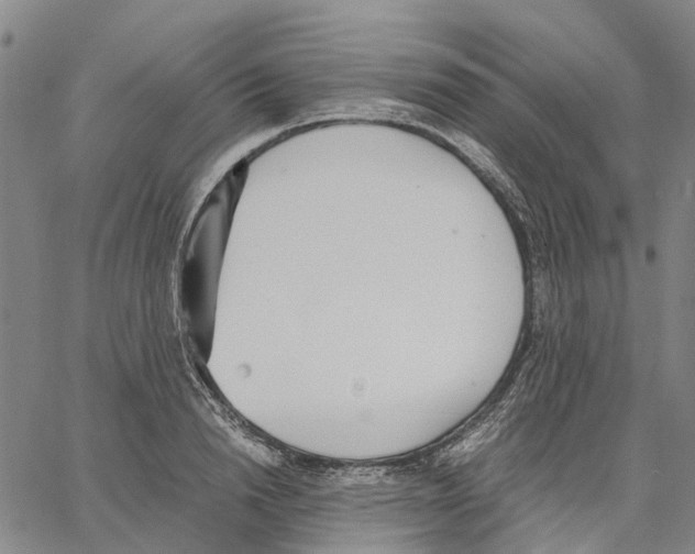 X0000062870846200602101649