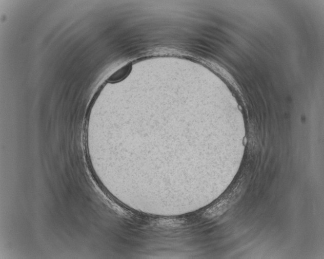 X0000062870847200602101649