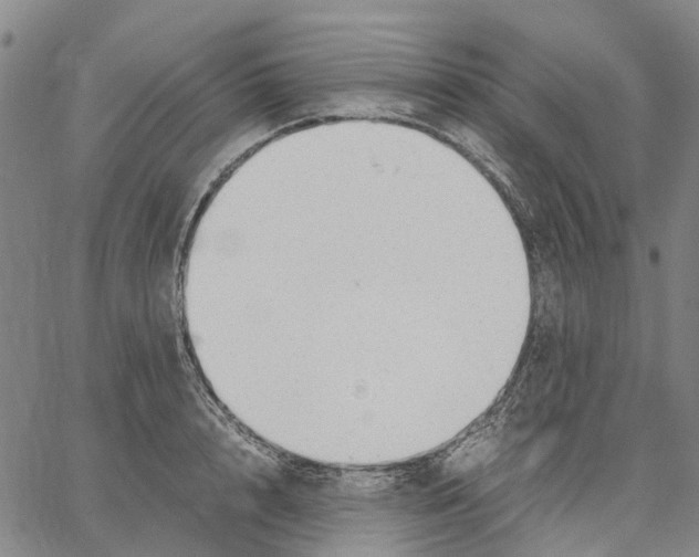 X0000062870848200602101650