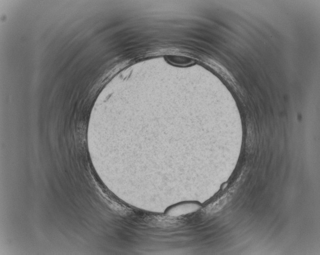 X0000062870849200602101650