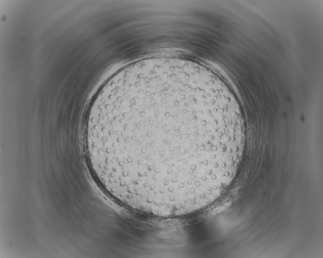 X0000062870851200602101650