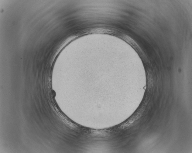 X0000062870852200602101650