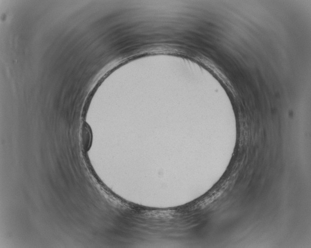 X0000062870853200602101650