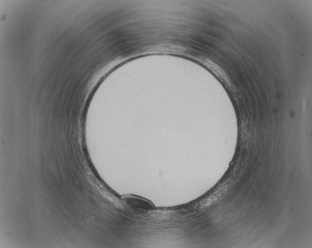 X0000062870854200602101650