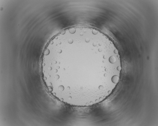 X0000062870856200602101650