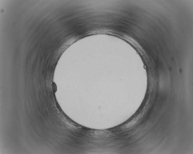 X0000062870857200602101650